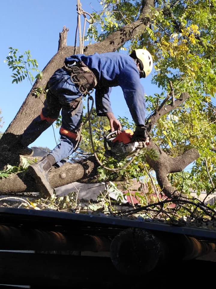 301394181_485023333628546_9000370483625089679_n