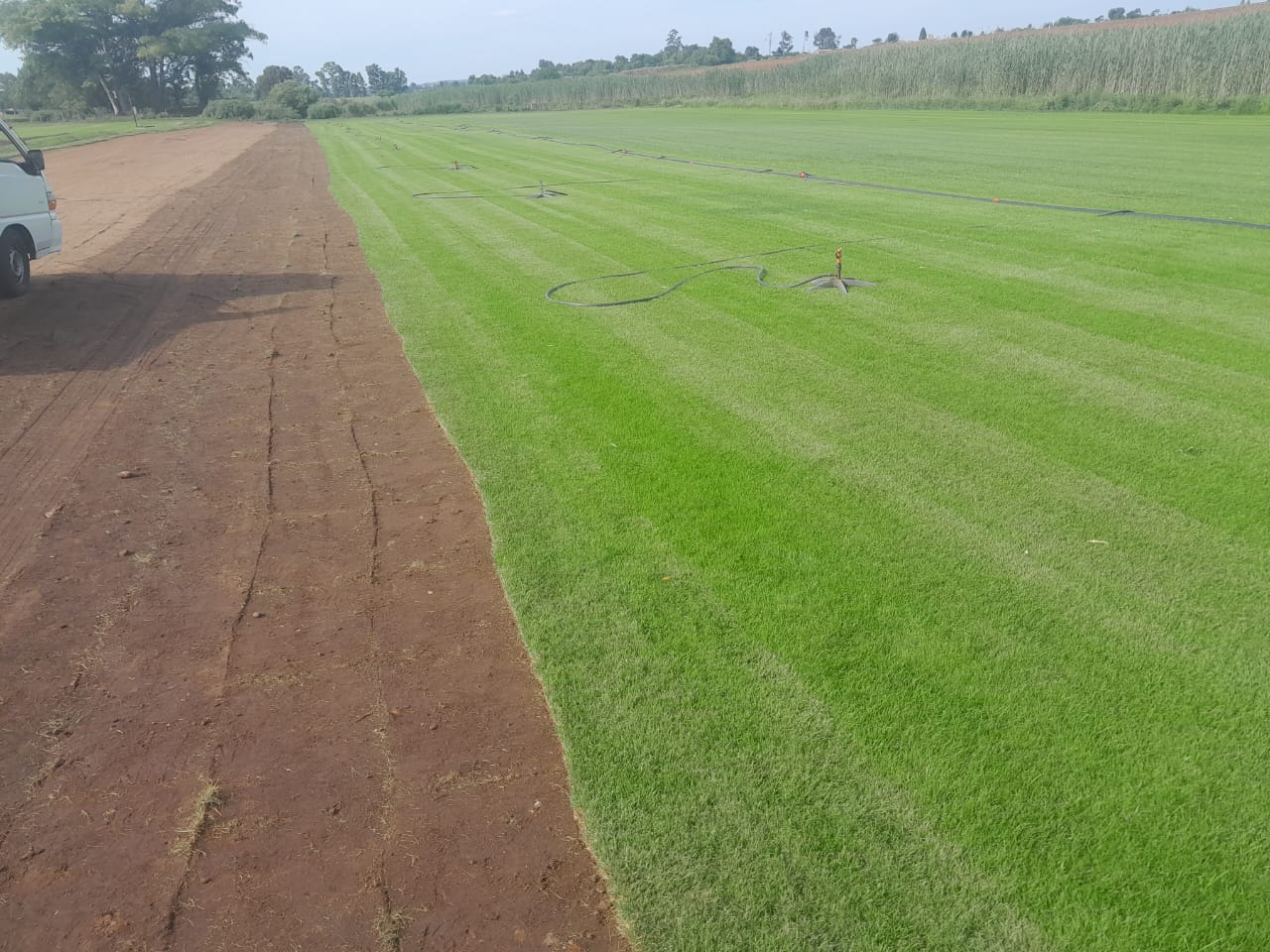 WhatsApp Image 2024-08-12 at 09.33.29_e23f786b WhatsApp Image 2024-08-12 at 09.33.29_e23f786b